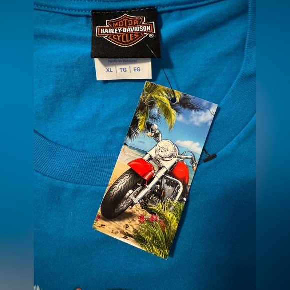 Harley-Davidson Grand Turk - Picture 3 of 9